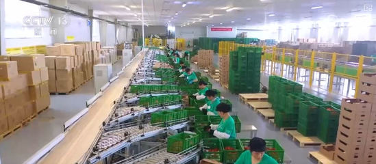 100億、10億、8.7萬億!鄉村特色產業領域拓寬 發展韌性強