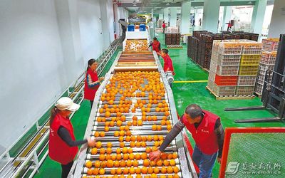 全自動農(nóng)業(yè)設(shè)施繪&ldquo;豐&rdquo;景