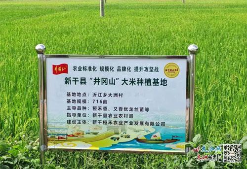 融入 井岡山 區域公用品牌 新干農產品提升了附加值 圖