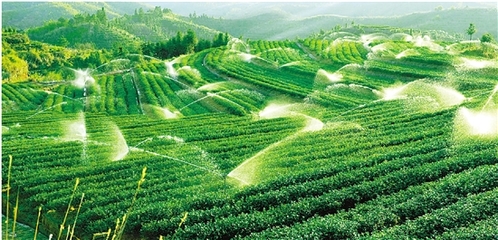 農(nóng)業(yè)生態(tài)循環(huán),浙江領(lǐng)跑全國