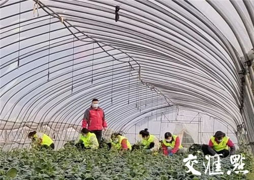 江蘇戰(zhàn)疫全景圖 無錫 預(yù)計(jì)挽回?fù)p失約10萬元 錫菜通 今年首單農(nóng)產(chǎn)品交易落地