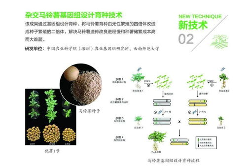 組圖丨31項(xiàng)農(nóng)業(yè)農(nóng)村重大新技術(shù)新產(chǎn)品新裝備發(fā)布