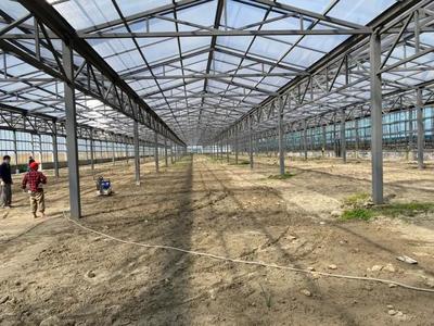 洛舍鎮(zhèn)扎實推進(jìn)農(nóng)業(yè)重大項目!