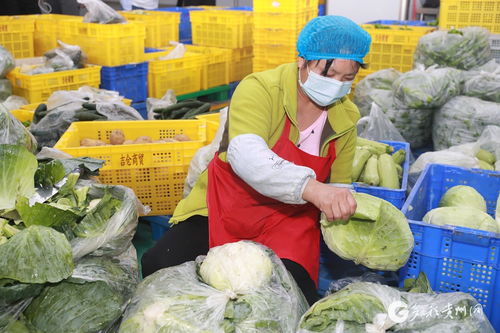 遵義匯川 智慧對(duì)接 農(nóng)產(chǎn)品更暢銷