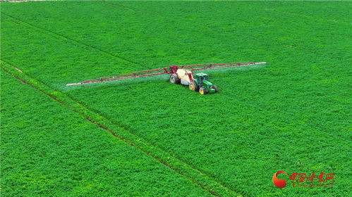 民樂 構(gòu)建現(xiàn)代農(nóng)業(yè)產(chǎn)業(yè)體系 促進(jìn)農(nóng)業(yè)產(chǎn)業(yè)升級(jí)