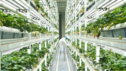 以招商引資實(shí)效助推經(jīng)濟(jì)高質(zhì)量發(fā)展--靜寧縣赴江西浙江山東招商考察側(cè)記