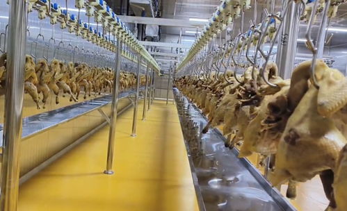 豐都非遺陶壇 酵醒美味，振興農業