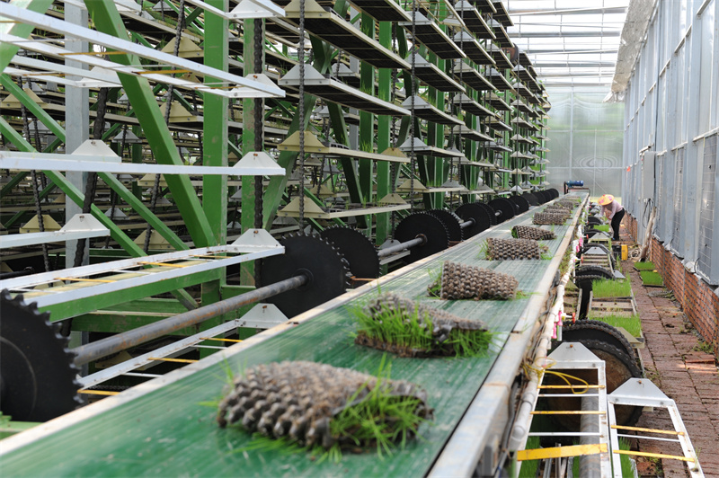 華容縣“田保姆”服務助推糧食生產高質量發(fā)展