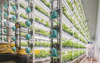 大國強農向新行 現(xiàn)代農業(yè)發(fā)展的戰(zhàn)略路徑