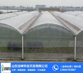 連棟溫室大棚在朔州地區(qū)農業(yè)現(xiàn)代化中的應用——富峰農業(yè)的實踐探索