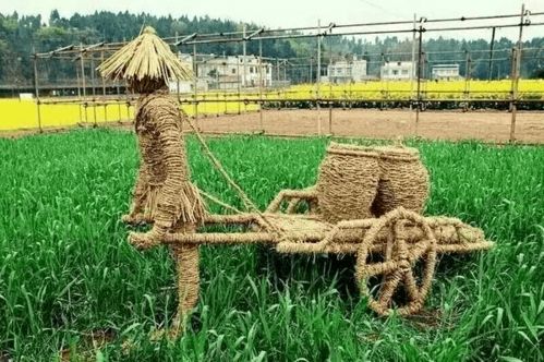 河北省農業農村廳推出11條休閑農業精品線路，助力農業旅游發展