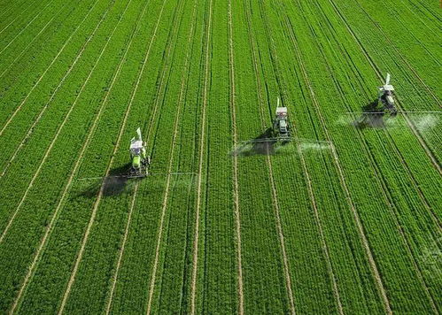百果園發力果蔬加工 以全程托管服務增值農業，賦能生態農業新生態
